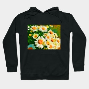 Daisies Watercolor Hoodie